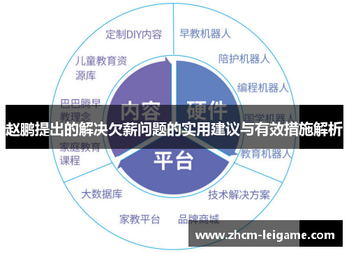 赵鹏提出的解决欠薪问题的实用建议与有效措施解析